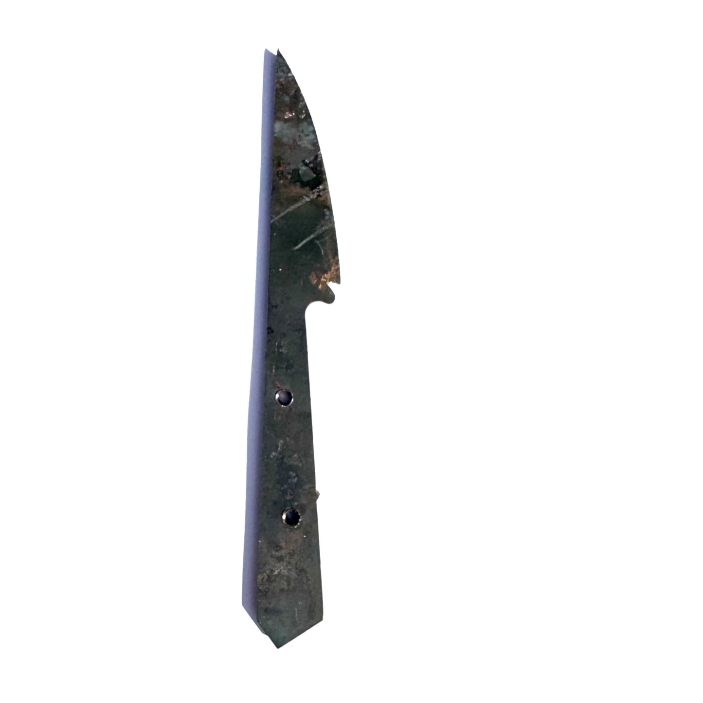 "Finch" Steel Knife Blank